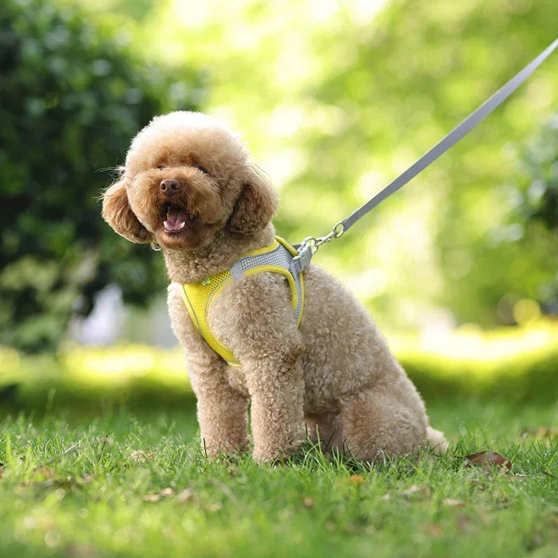Puppy Harness Set Dog Accessories Adjustable Pet Vest Dogs French Bulldog Chihuahua Small Dog Collar Supplies Products Home